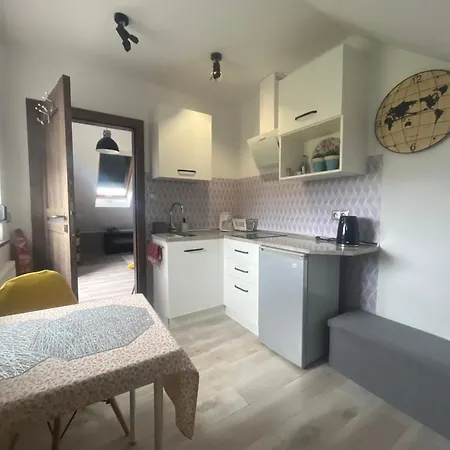 Domki Teo Pietrowe Parterowe I Apartamencik بيت خشبي *