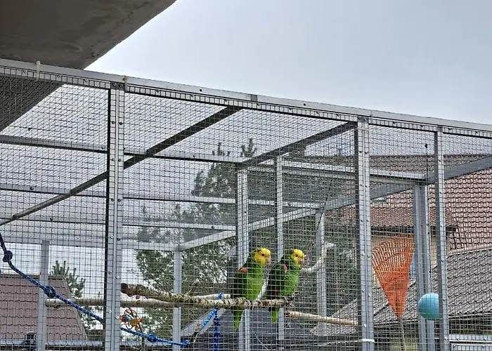 Teo Pietrowe I Parterowe Gerendaház